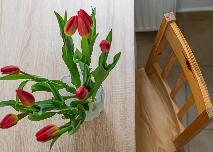 Appartamento Mona Lisa